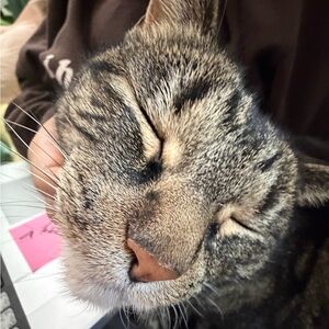 Meet your Posher, Santiago